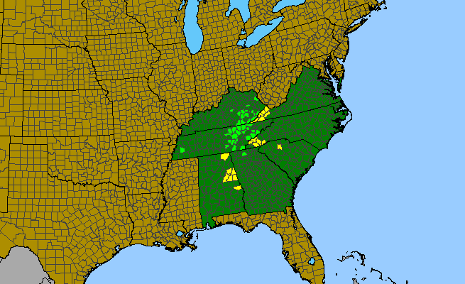 The range of Rhododendron cumberlandense